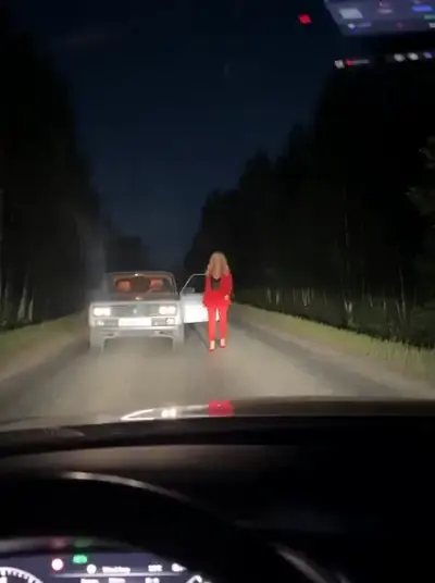Теплая встреча со львом