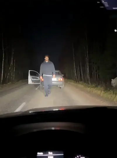 Теплая встреча со белым медведем